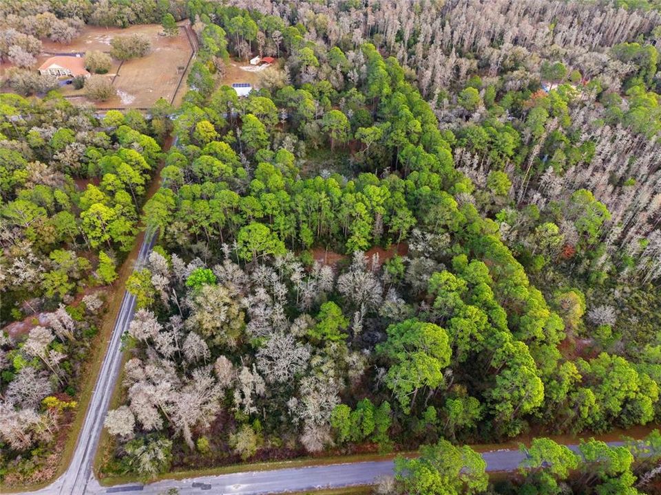 На продажу: $38,000 (1.16 acres)