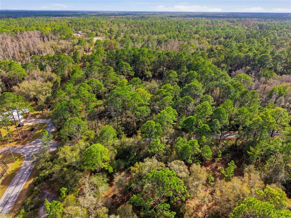 На продажу: $38,000 (1.16 acres)