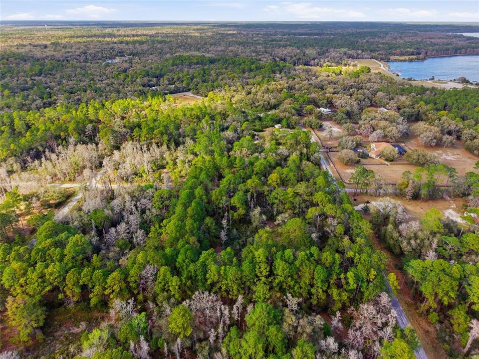 На продажу: $38,000 (1.16 acres)