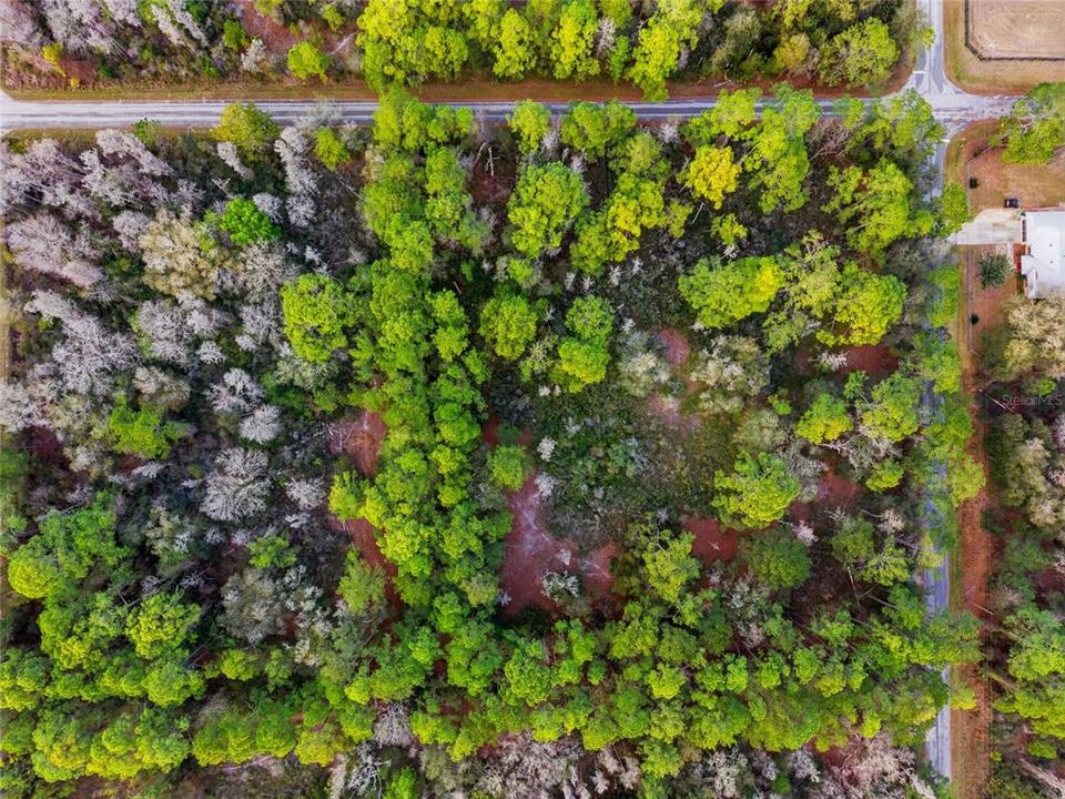 На продажу: $38,000 (1.16 acres)