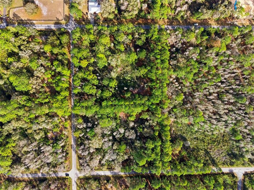 На продажу: $38,000 (1.16 acres)