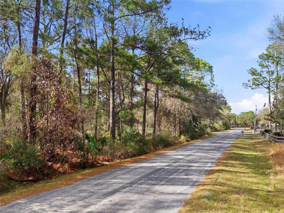 На продажу: $38,000 (1.16 acres)