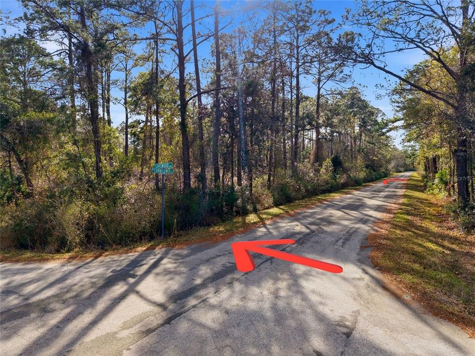 На продажу: $38,000 (1.16 acres)