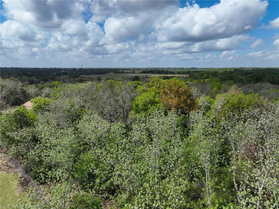 En Venta: $125,000 (7.01 acres)