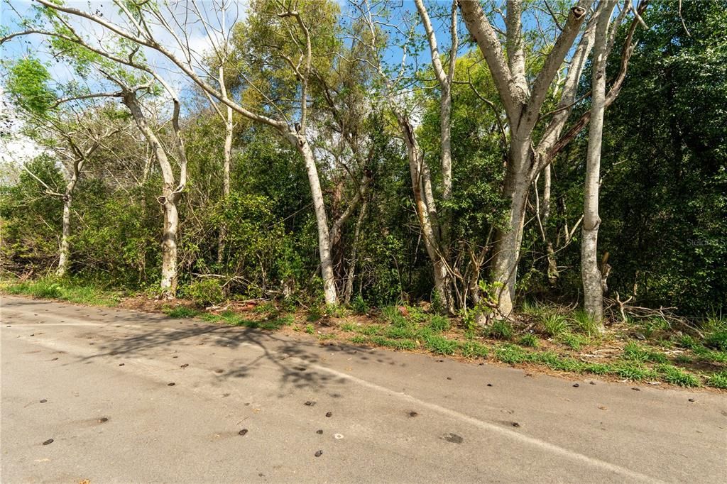 En Venta: $125,000 (7.01 acres)