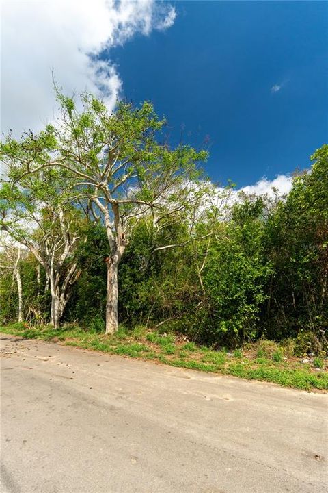 En Venta: $125,000 (7.01 acres)