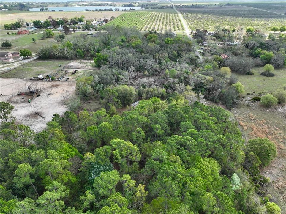 En Venta: $125,000 (7.01 acres)