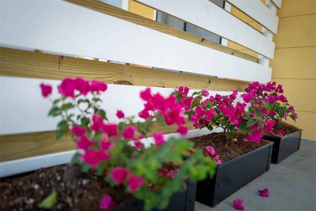 En Venta: $799,000 (5 camas, 0 baños, 2276 Pies cuadrados)