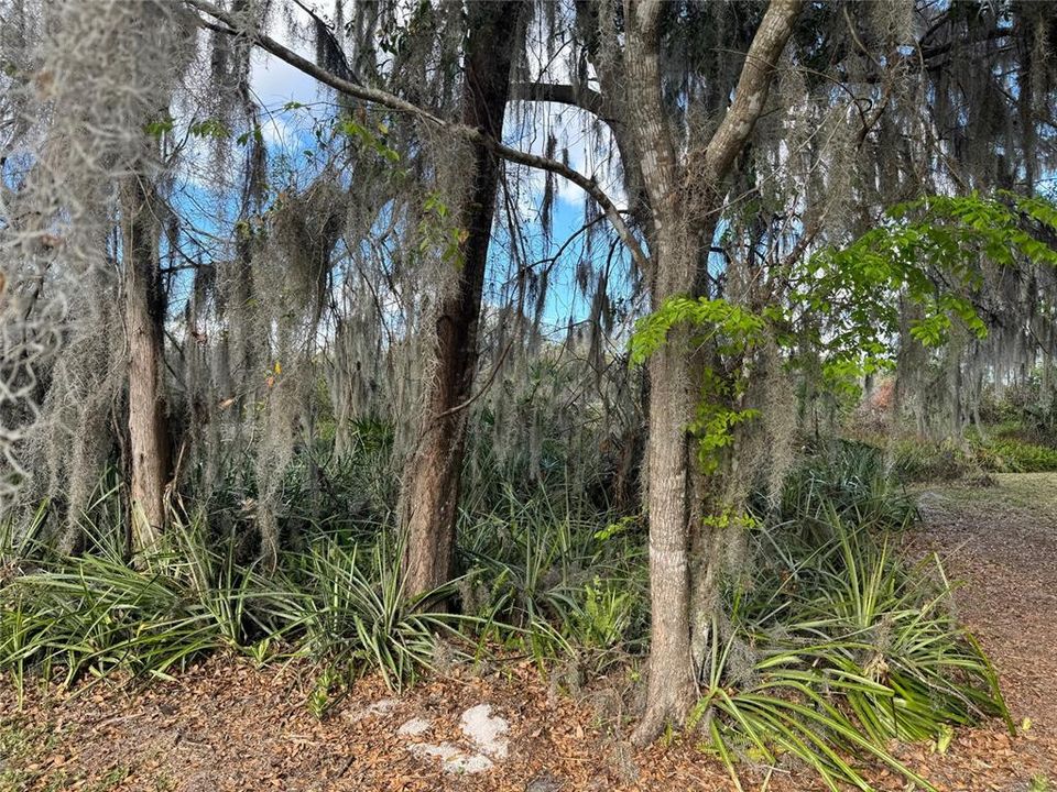 На продажу: $77,900 (0.41 acres)