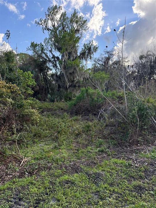На продажу: $77,900 (0.41 acres)