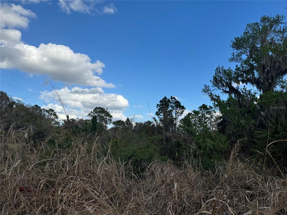На продажу: $77,900 (0.41 acres)