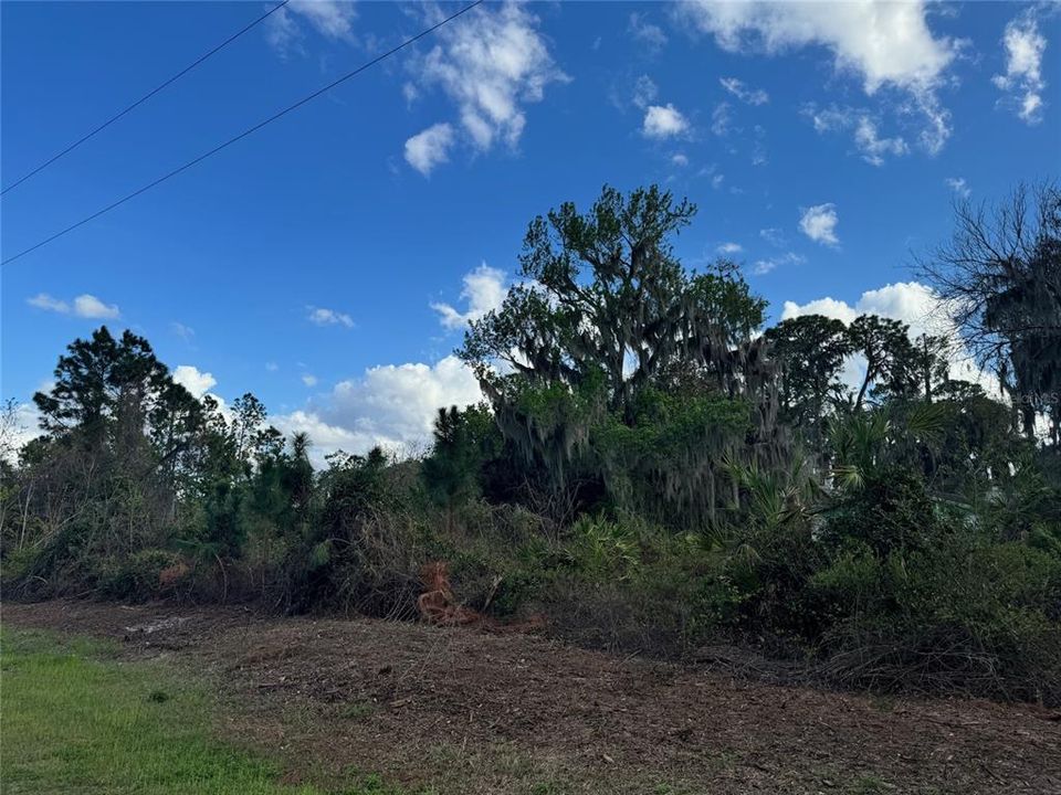 На продажу: $77,900 (0.41 acres)