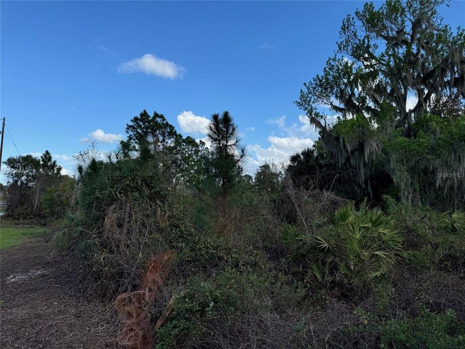 На продажу: $77,900 (0.41 acres)