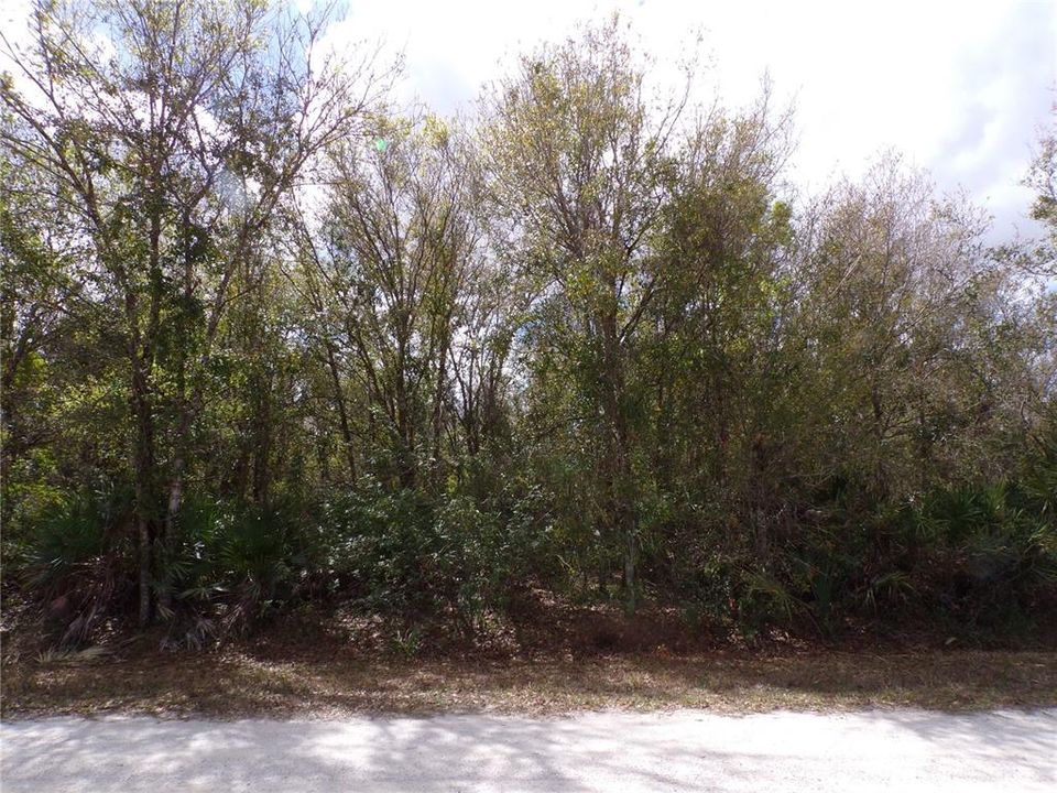 En Venta: $12,990 (0.21 acres)