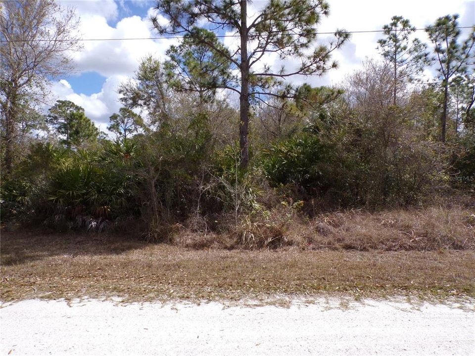 En Venta: $12,990 (0.21 acres)