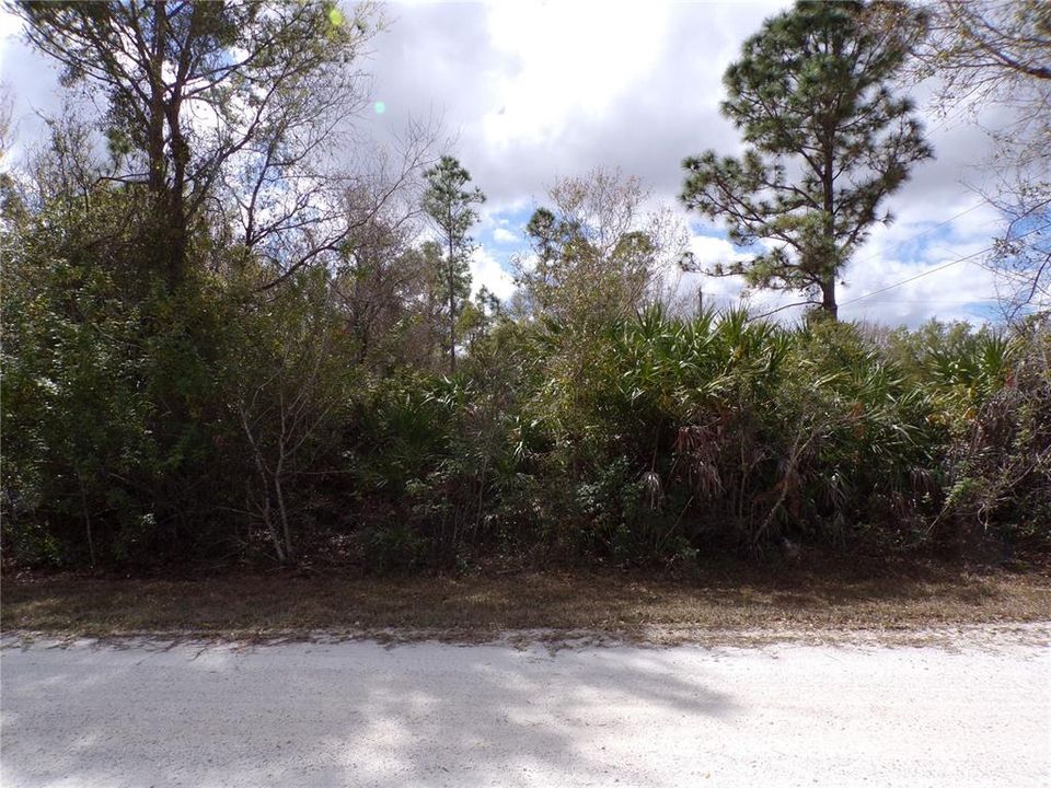 En Venta: $12,990 (0.21 acres)