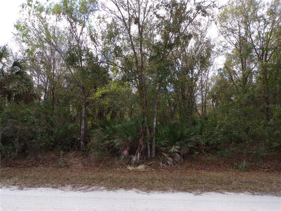 En Venta: $12,990 (0.21 acres)