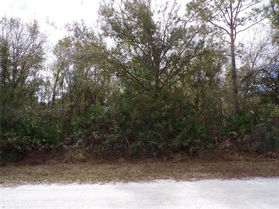 En Venta: $12,990 (0.21 acres)