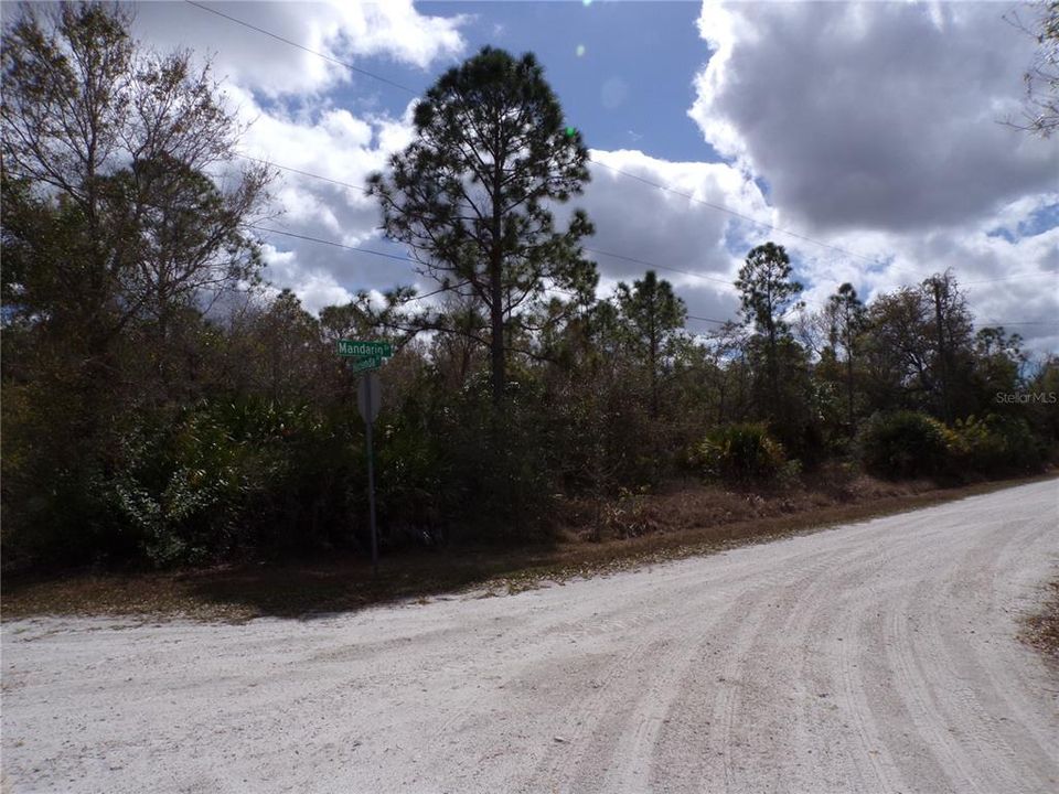 For Sale: $12,990 (0.17 acres)