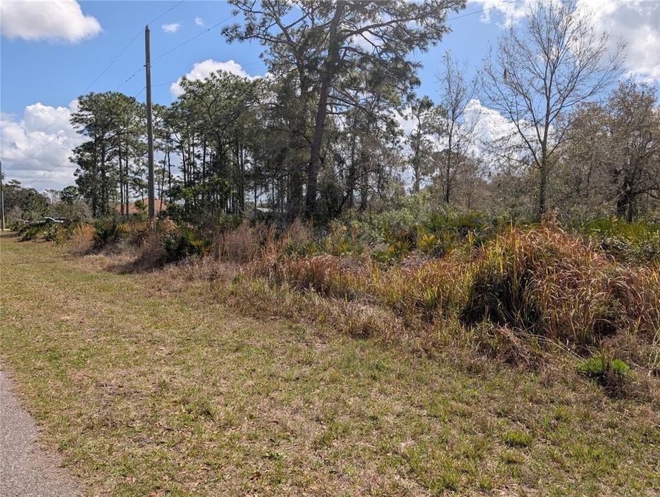 待售: $19,900 (0.50 acres)