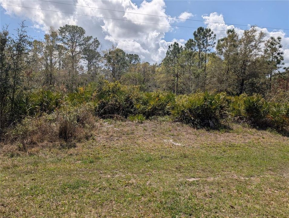 待售: $19,900 (0.50 acres)