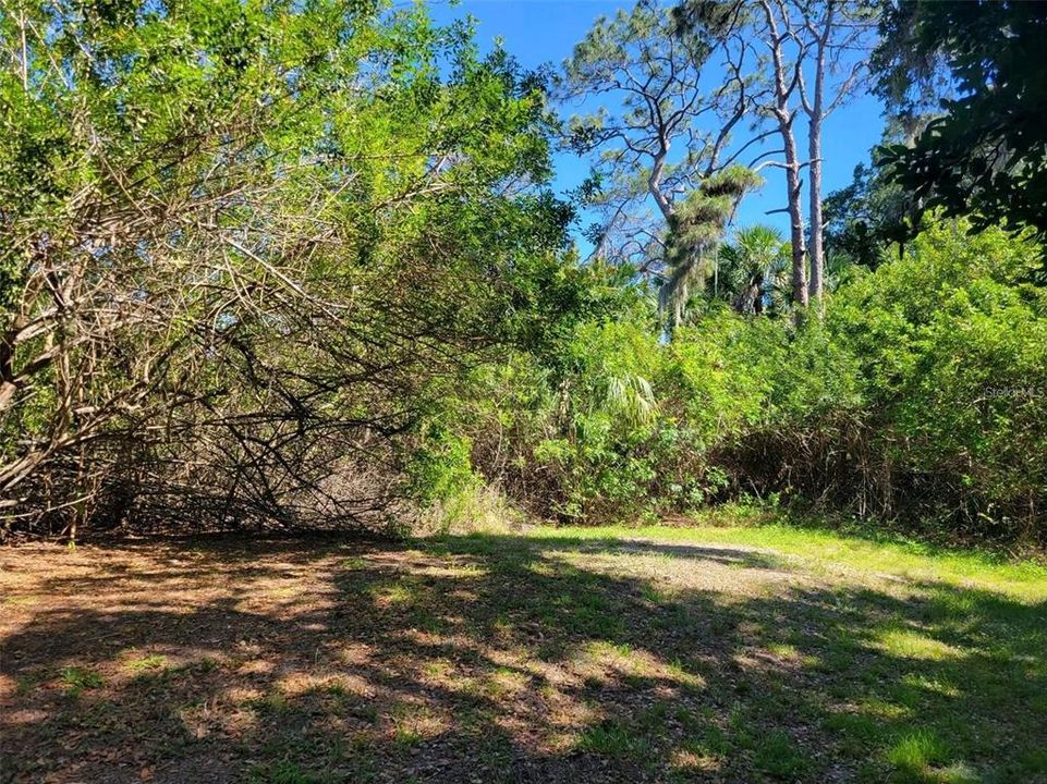 For Sale: $36,900 (0.23 acres)