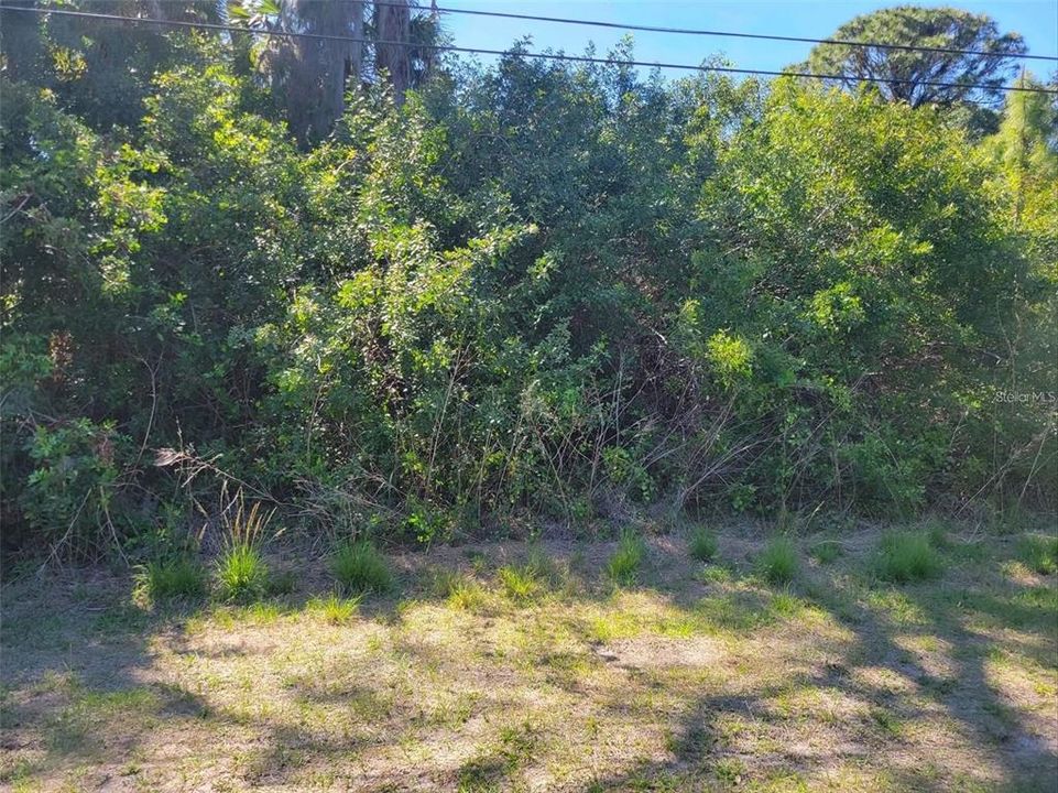 For Sale: $36,900 (0.23 acres)