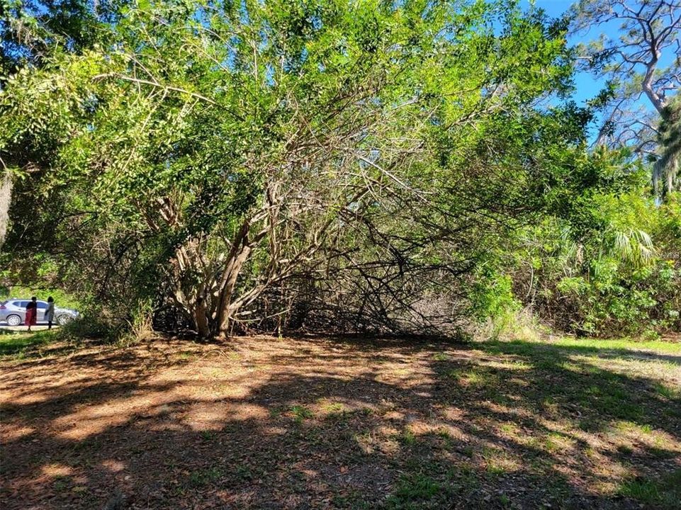 For Sale: $36,900 (0.23 acres)