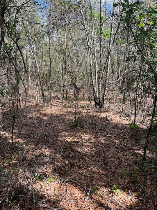На продажу: $476,000 (28.00 acres)