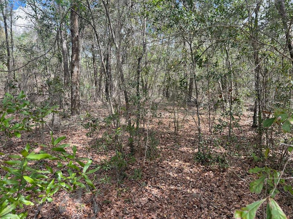 На продажу: $476,000 (28.00 acres)