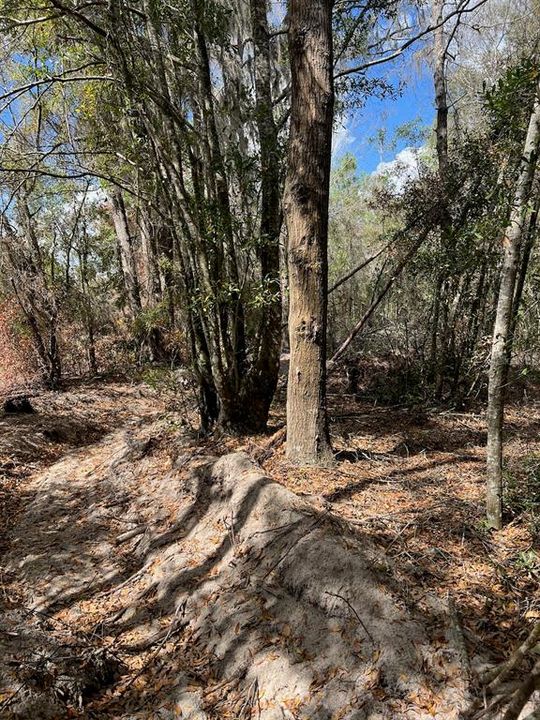 На продажу: $476,000 (28.00 acres)