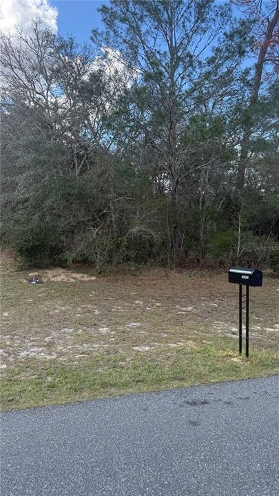 На продажу: $55,000 (0.23 acres)