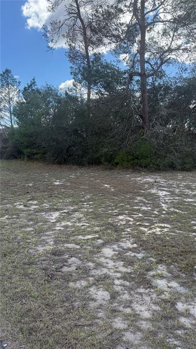 На продажу: $55,000 (0.23 acres)