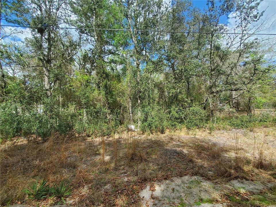 En Venta: $28,500 (1.13 acres)