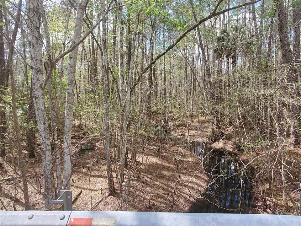 En Venta: $28,500 (1.13 acres)