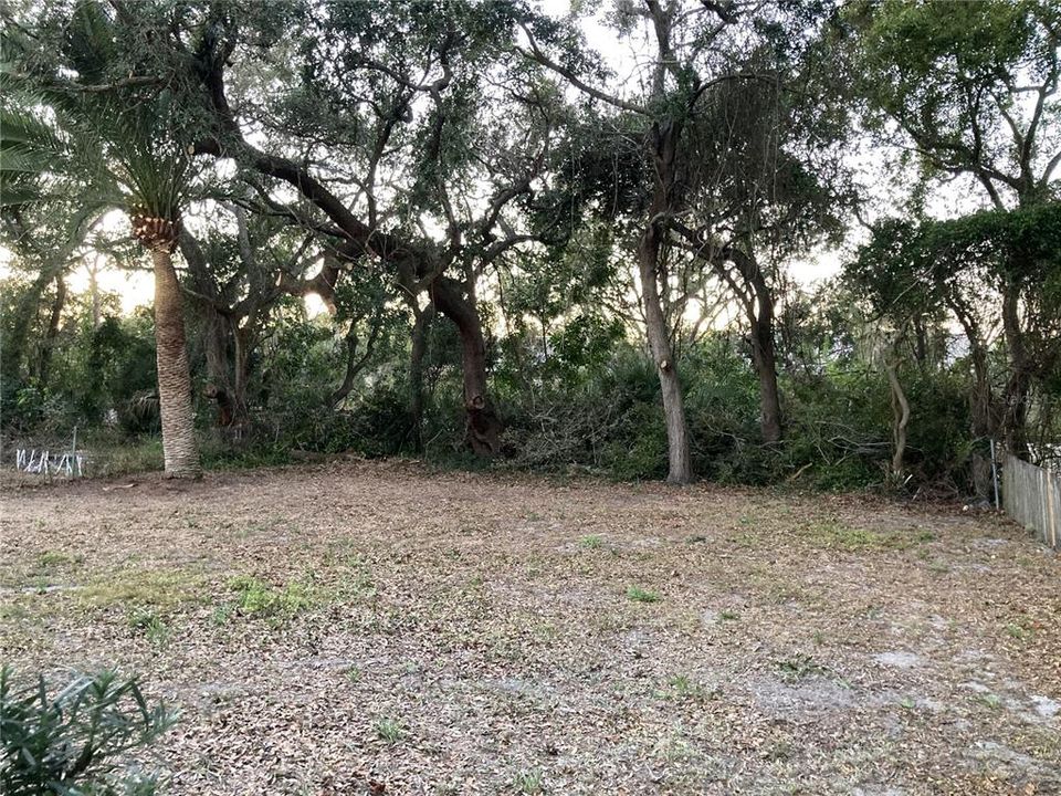 For Rent: $1,450 (2 beds, 1 baths, 980 Square Feet)