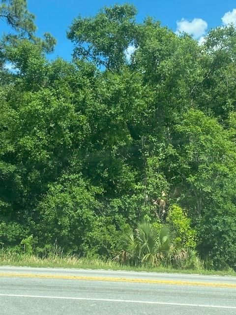 待售: $99,000 (0.76 acres)