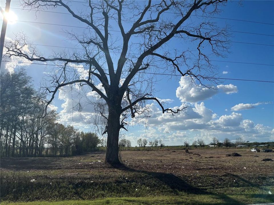 На продажу: $100,000 (5.01 acres)