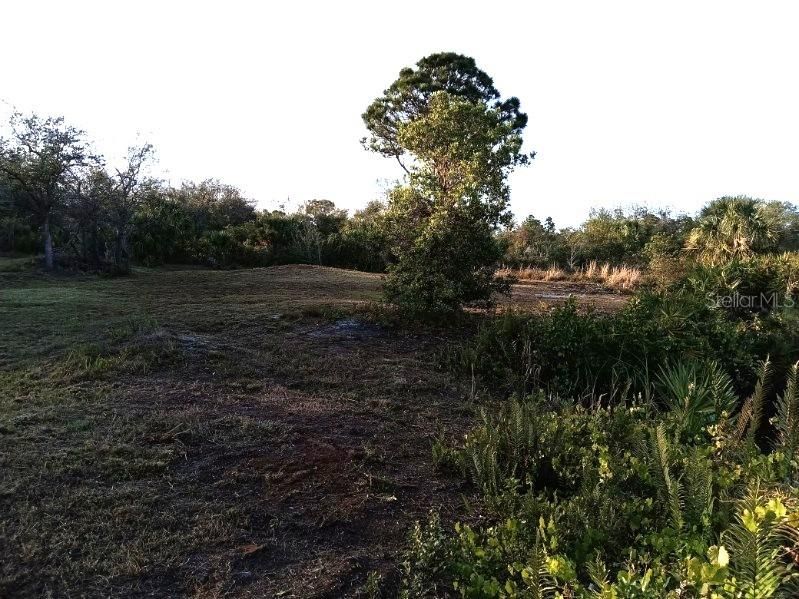 En Venta: $38,000 (0.25 acres)