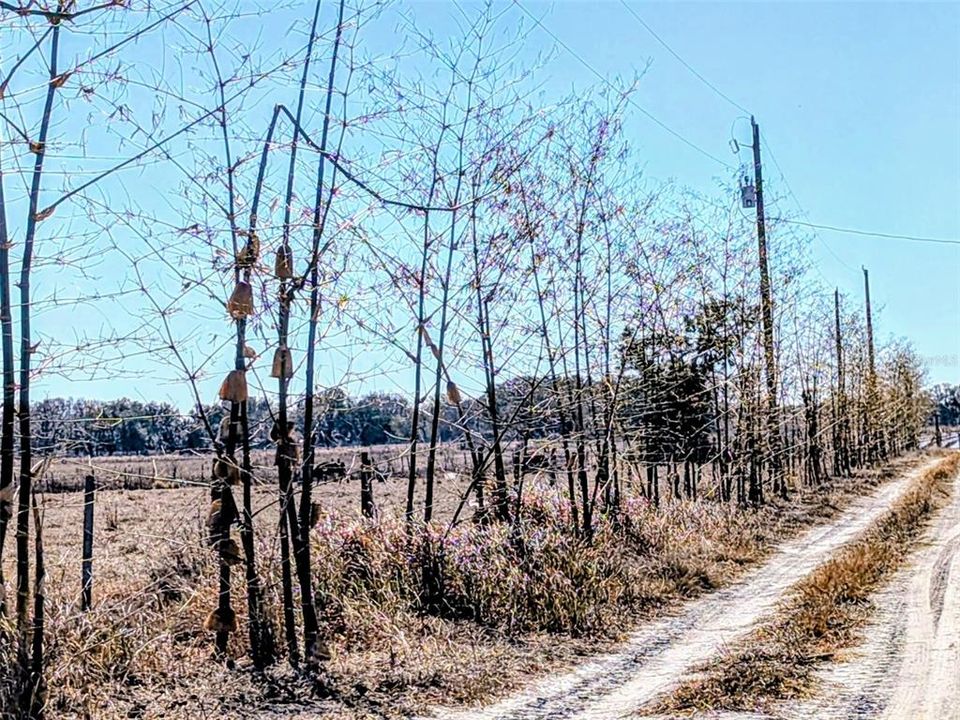 На продажу: $390,000 (10.00 acres)