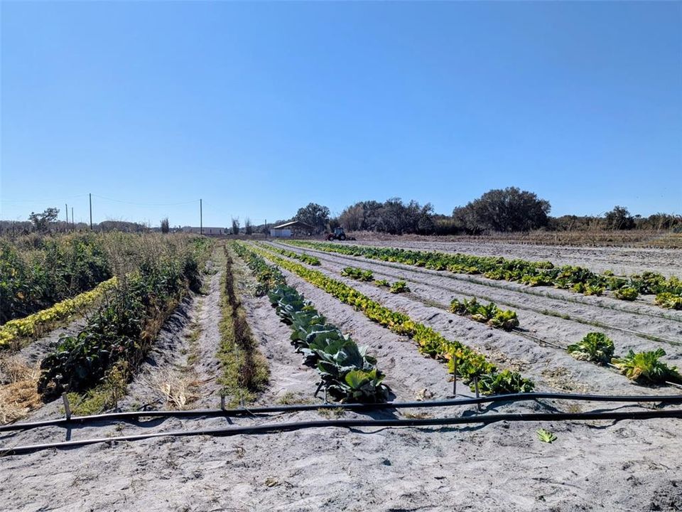 На продажу: $390,000 (10.00 acres)