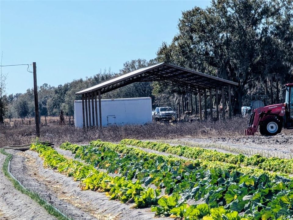 На продажу: $390,000 (10.00 acres)