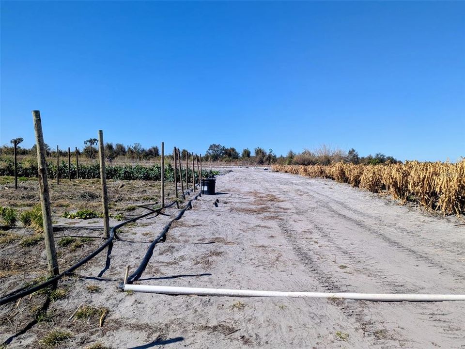 На продажу: $390,000 (10.00 acres)