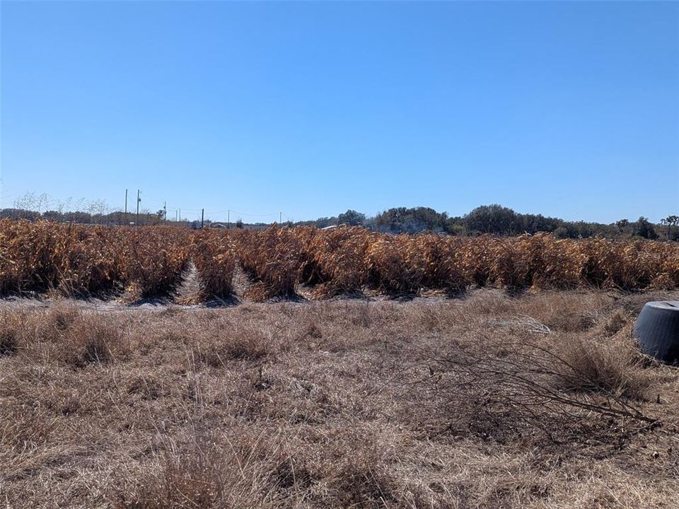 На продажу: $390,000 (10.00 acres)