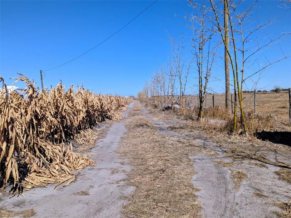 На продажу: $390,000 (10.00 acres)