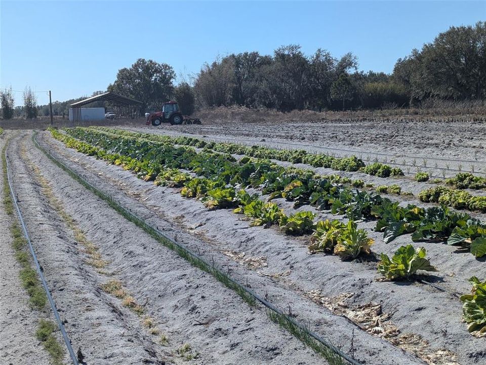 На продажу: $390,000 (10.00 acres)