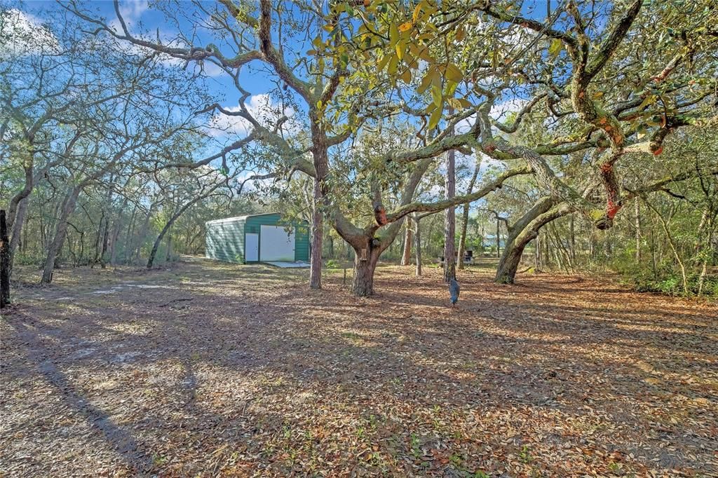 For Sale: $544,900 (4 beds, 3 baths, 2163 Square Feet)