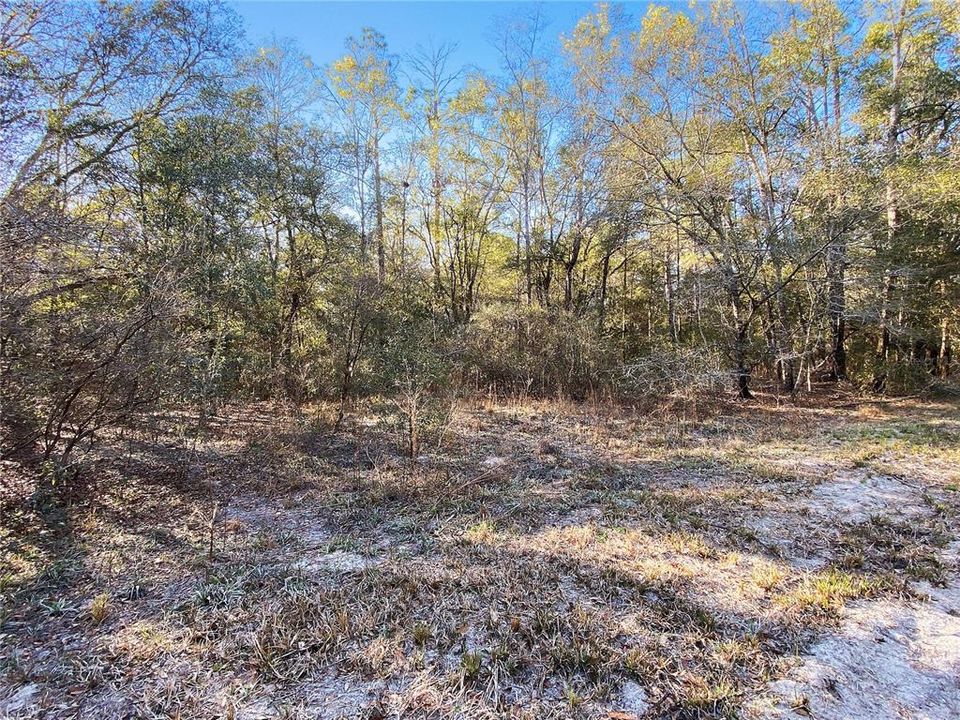 For Sale: $235,000 (7.00 acres)