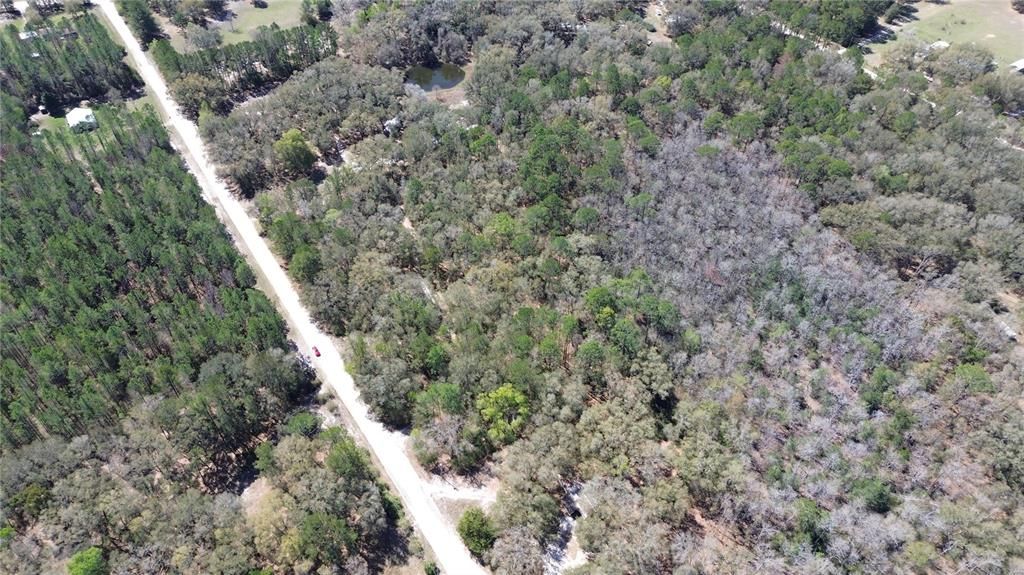 For Sale: $235,000 (7.00 acres)