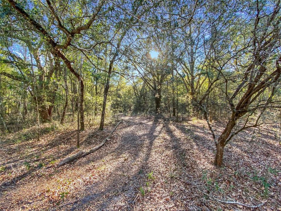 For Sale: $235,000 (7.00 acres)